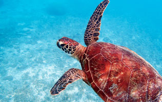 ロケーション写真